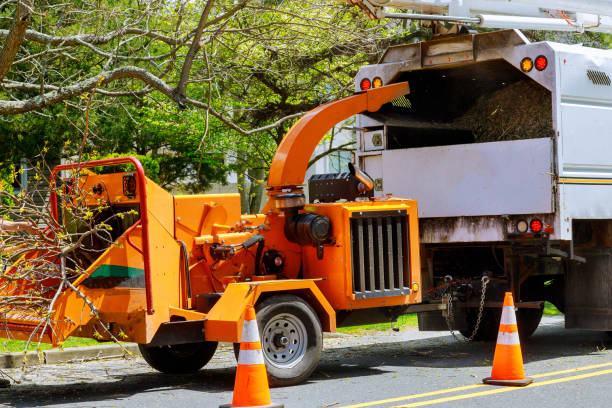 Best Tree Mulching  in Meridian Hills, IN